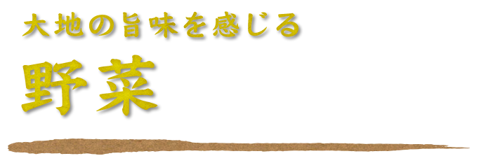 大地の旨味を感じる野菜