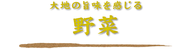 大地の旨味を感じる野菜